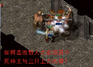如何击败散人之家顶层不死神王与三只上古凶兽? 如何击败散人之家顶层不死神王与三只上古凶兽?