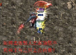 如何击败散人之家顶层不死神王与三只上古凶兽? 如何击败散人之家顶层不死神王与三只上古凶兽?