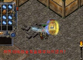 神界领域暗金装备爆率如何提升? 神界领域暗金装备爆率如何提升?