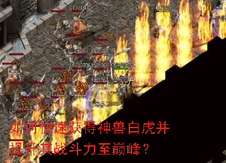 如何快速获得神兽白虎并提升其战斗力至巅峰? 如何快速获得神兽白虎并提升其战斗力至巅峰?