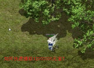 如何快速赚取12000000元宝? 如何快速赚取12000000元宝?