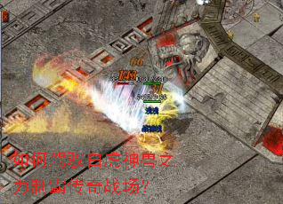 如何驾驭白虎神兽之力制霸传奇战场? 如何驾驭白虎神兽之力制霸传奇战场?