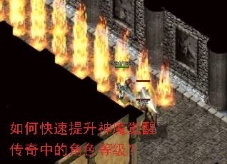 如何快速提升神魔觉醒传奇中的角色等级? 如何快速提升神魔觉醒传奇中的角色等级?