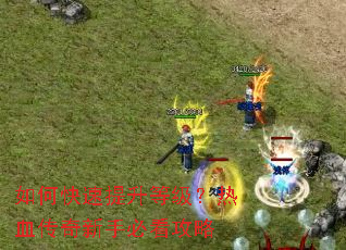 如何快速提升等级?热血传奇新手必看攻略 如何快速提升等级?热血传奇新手必看攻略