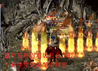 蓝月至尊返利版怎么下载?新手常见问题全解答 蓝月至尊返利版怎么下载?新手常见问题全解答