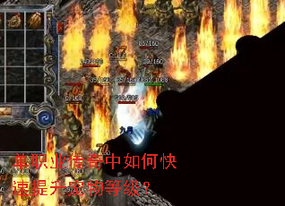 单职业传奇中如何快速提升宠物等级? 单职业传奇中如何快速提升宠物等级?