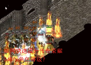 如何快速提升传奇荣耀348fu角色等级? 如何快速提升传奇荣耀348fu角色等级?