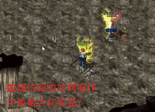 Ѫ�Ƿ�������β�������������棿