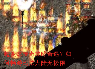 ����̬���湥����������γ����귨��½�޼���