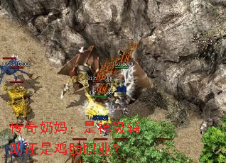 �������裺���񼶸������Ǽ���ְҵ��