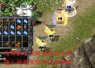 传奇新手如何破解副本谜题?稀有宝物获取全攻略 传奇新手如何破解副本谜题?稀有宝物获取全攻略