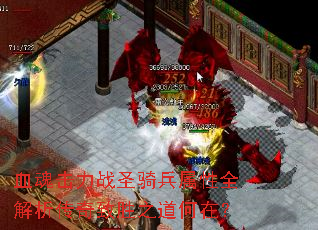 血魂击力战圣骑兵属性全解析传奇致胜之道何在? 血魂击力战圣骑兵属性全解析传奇致胜之道何在?