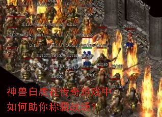 神兽白虎在传奇游戏中如何助你称霸战场? 神兽白虎在传奇游戏中如何助你称霸战场?