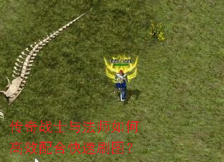 传奇战士与法师如何高效配合快速刷图? 传奇战士与法师如何高效配合快速刷图?