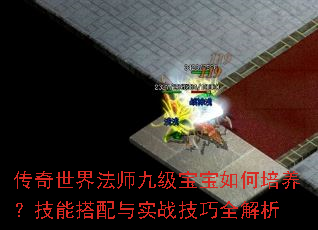 传奇世界法师九级宝宝如何培养?技能搭配与实战技巧全解析 传奇世界法师九级宝宝如何培养?技能搭配与实战技巧全解析