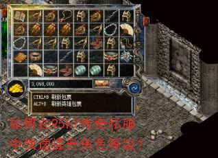 如何在95hf传奇私服中快速提升角色等级? 如何在95hf传奇私服中快速提升角色等级?