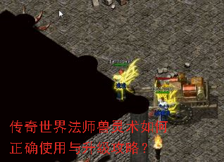 传奇世界法师兽灵术如何正确使用与升级攻略? 传奇世界法师兽灵术如何正确使用与升级攻略?