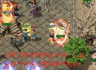 新区开服如何快速冲级?装备获取与技能搭配有哪些秘诀? 新区开服如何快速冲级?装备获取与技能搭配有哪些秘诀?