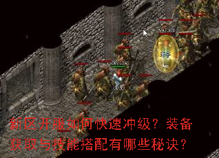新区开服如何快速冲级?装备获取与技能搭配有哪些秘诀? 新区开服如何快速冲级?装备获取与技能搭配有哪些秘诀?