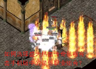 如何选择盛大热血传奇私服合击手机版中的最佳职业组合? 如何选择盛大热血传奇私服合击手机版中的最佳职业组合?