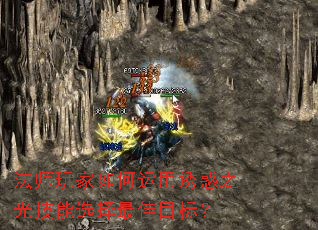 ��ʦ�����������ջ�֮�⼼��ѡ�����Ŀ�ꣿ