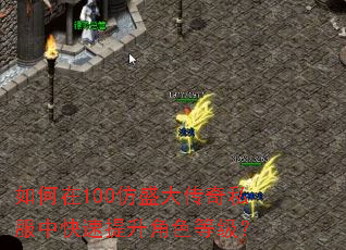 如何在100仿盛大传奇私服中快速提升角色等级? 如何在100仿盛大传奇私服中快速提升角色等级?
