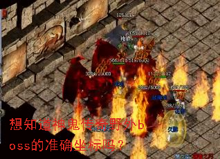 想知道神鬼传奇野外boss的准确坐标吗? 想知道神鬼传奇野外boss的准确坐标吗?