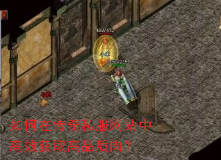 如何在传奇私服网站中高效获取高品质肉? 如何在传奇私服网站中高效获取高品质肉?