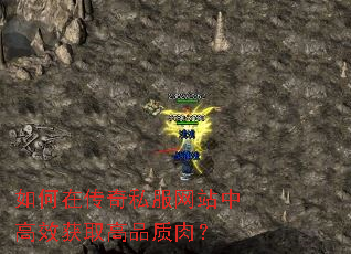 如何在传奇私服网站中高效获取高品质肉? 如何在传奇私服网站中高效获取高品质肉?