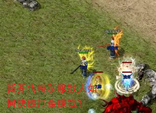新开传奇私服散人如何快速打金赚钱? 新开传奇私服散人如何快速打金赚钱?