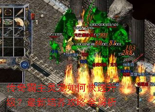 传奇霸主灵宠如何快速升级?最新培养攻略全解析 传奇霸主灵宠如何快速升级?最新培养攻略全解析