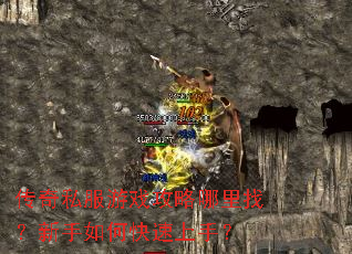 传奇私服游戏攻略哪里找?新手如何快速上手? 传奇私服游戏攻略哪里找?新手如何快速上手?