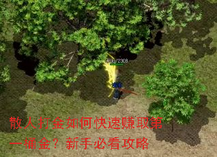 散人打金如何快速赚取第一桶金?新手必看攻略 散人打金如何快速赚取第一桶金?新手必看攻略