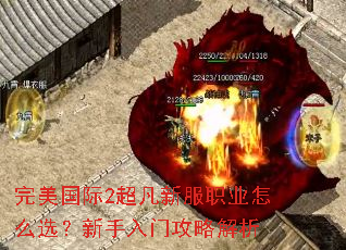 ��������2�����·�ְҵ��ôѡ���������Ź��Խ���