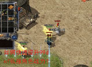��ο�������99dnf˽����ɫս����