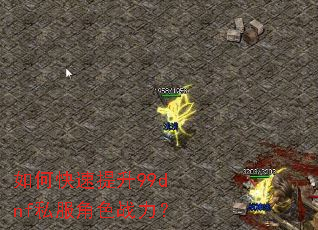 ��ο�������99dnf˽����ɫս����