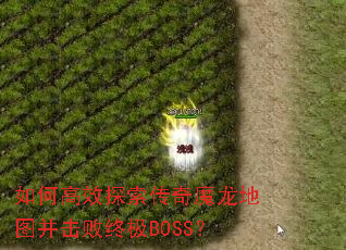 ��θ�Ч̽������ħ����ͼ�������ռ�BOSS��