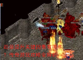 ѫ�������ؼ���������Щ��������Ϸ����ȫ����