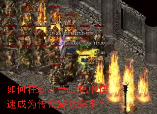 ������¿��չɰ��п��ٳ�Ϊ������Ϸ���֣�