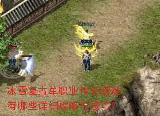 ��ѩ���ŵ�ְҵ������Ϸ����Щ��ϸ�����뼼�ɣ�
