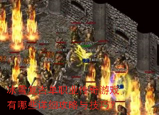 ��ѩ���ŵ�ְҵ������Ϸ����Щ��ϸ�����뼼�ɣ�
