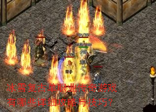 ��ѩ���ŵ�ְҵ������Ϸ����Щ��ϸ�����뼼�ɣ�