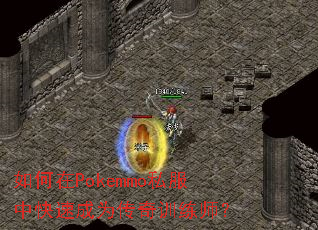 �����Pokemmo˽���п��ٳ�Ϊ����ѵ��ʦ��