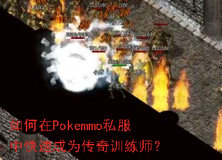 �����Pokemmo˽���п��ٳ�Ϊ����ѵ��ʦ��