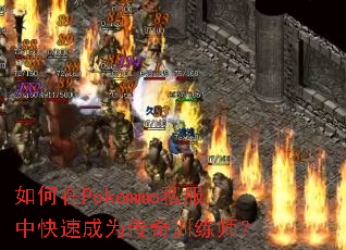�����Pokemmo˽���п��ٳ�Ϊ����ѵ��ʦ��