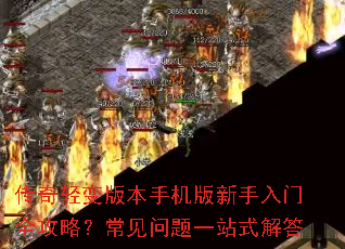 �������汾�ֻ�����������ȫ���ԣ���������һվʽ���