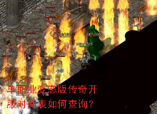 ��ְҵ��̬�洫�濪��ʱ�����β�ѯ��