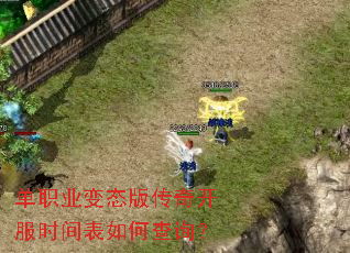 ��ְҵ��̬�洫�濪��ʱ�����β�ѯ��