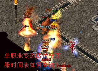 ��ְҵ��̬�洫�濪��ʱ�����β�ѯ��