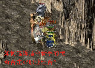 ���ѡ���ʺ����ֵĴ���ϻ�sfְҵ��ϣ�